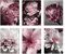OYFFL 6 Stücke Leinwand Poster Set Pfingstrose Blume Poster Tropische Landschaft Kokospalme Blatt Surfbrett Malerei Natur Poster Wandkunst Dekorieren Für Wohnkultur (50 * 70cm No Frame,2)