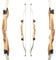 RAGIM Recurvebogen, Bogen, Sportbogen, Take Down Wildcat Plus 66 24 lbs, Rechtshand
