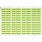 Indigos UG Namensaufkleber Kinder Schule - 150 Sticker - 36x7 mm - Aufkleber selbst gestalten - Namensschilder selbstklebend Kindergarten, Sticker KITA, Brotdose, Flasche, Federmappe Stifte - hellgrün