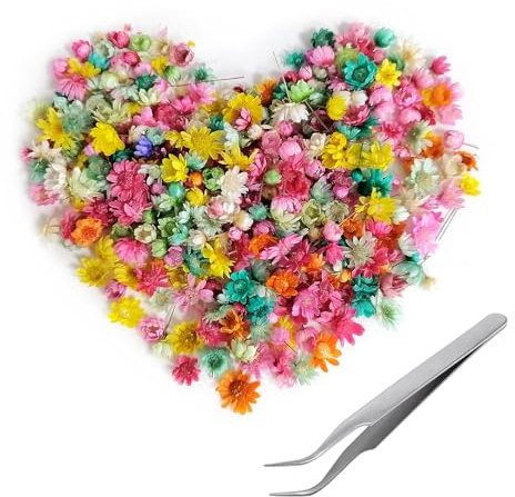 C-114 281 Stück Trockenblumen Zum Basteln Und Deko Für Duftkerzen, Seifenherstellung, DIY, Nagelkunst, Handyhülle, Schmuck, Ohrringe, Schleierkraut