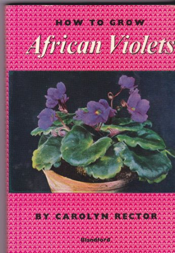 How to Grow African Violets
