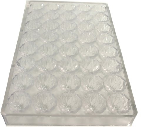 Paderno 47860-40 Stampo per Cioccolatini, Policarbonato
