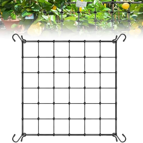 Coffee Life Plus Red de Tienda de Cultivo,40/60/90/120CM Red de Enrejado elástico,Red de Soporte de Plantas para Verduras,Enrejado de Red Flexible,Malla elástica para Plantas con Ganchos (60x60cm)