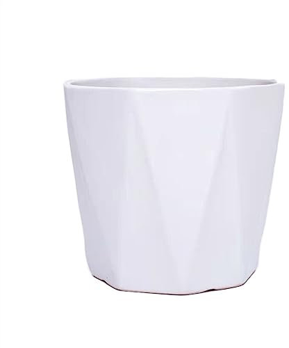 Huangj-0527 Maceta Macetas de cerámica Grandes con Bandeja, Recta, línea Octogonal Blanca Pura, macetas, suculentas, Plantas Verdes, Cultivo, maceteros Simples Maceta de cerámica(Pequeño)