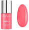NEONAIL Pfirsisch XPRESS UV Nagellack 3in1 SIMPLE ONE STEP COLOR PROGEEIN 7,2 ml CHILLIN 8140-7