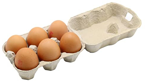 Egg Boxes Half Dozen Recyclable and Biodegradable Pack of 24