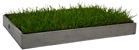 Katzengras mit Tablett 40x30cm grau