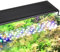 hygger Aquarium LED Beleuchtung,26W Vollspektrum Aquarium Beleuchtung,24/7 Aquarium Lampe Fish Tank Light mit 9 Mehreren Farben und 10 Einstellbare Helligkeit für 75-82cm Süßwasser Tanks