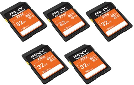PNY Elite™ Class 10 U1 V10 SDHC-Flash-Speicher, 32 GB, Lesegeschwindigkeit bis zu 100 MB/s, UHS-I, HD-Foto und Video, Outdoor-Kamera, DSLR-Kamera, taktile Verwendung, Wildtier-Enthusiasten, 5er-Pack