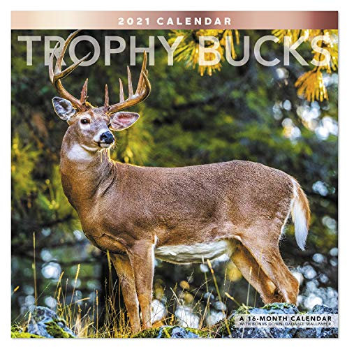 2021 Trophy Bucks Wandkalender, 30,5 x 30,5 cm, monatlich (LME2151021)