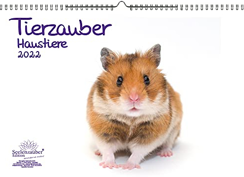 Tierzauber Haustiere DIN A3 Kalender für 2022 - Seelenzauber