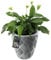 KADAX Pot de Fleurs Haut, Jardinière en Plastique de Grande Taille avec Motif Moderne pour Sublimer Votre Intérieur ou Extérieur, Bac à Fleur (Gris, 42 cm)