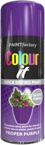 MIXEL Purple Gloss Spray Paint, Quick-Drying Formula, Easy To Apply, Ideal For DIY Projects, Crafting, Home Décor, Perfect For Wood, Metal, Plastic, Ceramics, 250ml, (1 Pcs)