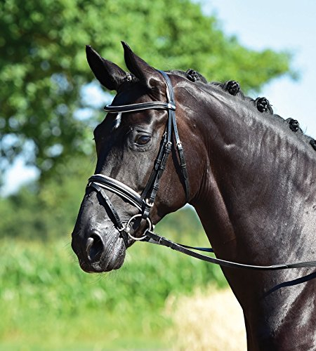 BUSSE Trense PROFI-SOFT, schwarz/schwarz, schwarz, Vollblut