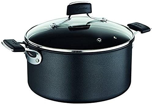 Lagostina Tempra Faitout 24 cm + couvercle, Revêtement antiadhésif résistant, Induction, Fabriqué en France 012073031224