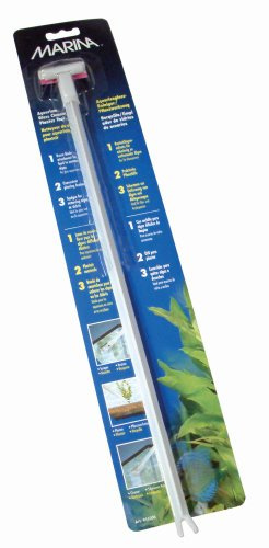 Marina Razuitor Cu Lama