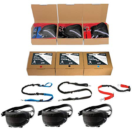 cat-or-dog.boutique -POLE Professionelles Canicross/Trekking/Joggen/Skijoring, freihändiges Set: Gürtel + Bungee-Leash – 3 Größen (L: 30+ kg, schwarz)