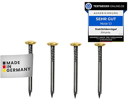 RiKaMa - 30 chiodi per quadri con lunghezza di 30 mm - chiodi in acciaio per cemento, mattoni, intonaco e legno Made in Italy