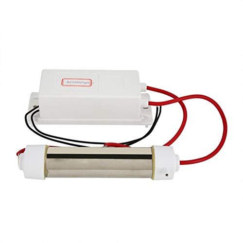 Generador de ozono, Tubo generador de ozono Purificador de agua y aire 220 V, Generador de ozono Ozonizador Ionizador Aire Purificador de agua Máquina de esterilización de frutas vegetales(2g)