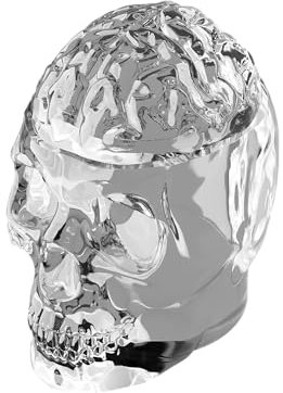 Decanter per Vino Dispenser Bevande Decanter Whisky Alcolici Regalo Uomo Compleanno Bottiglia Vetro Vino Personalizzata Teschio Regalo 40 anni Uomo Accessori Vino Regalo Casa (Cervello Cranio-1000ml)