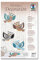 Ursus 21890099 - 3D Paper Dekoration Eulen, rosa/lila, Material für 24 Eulen, ca. 10 x 10 cm, 3 lagig, inklusive Bastelanleitung, ideal zum Dekorieren von Karten, Scrapbooking und Geschenken
