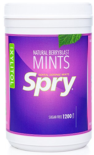Spry Xylitol Breath Mints Sugar Free, Berry Blast, 1200 Count - Pack of 1 | Natural, Non-GMO, Gluten-Free for Cavities, Bad Breath Freshening, Dry Mouth, Promote Oral Health, Increase Saliva Production