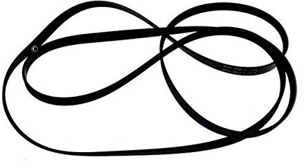WHIRLPOOL - Cinghia per Asciugatrice V-Belt Nero Compatibile con Whirlpool, Proline, LADEN, BAUKNECHT 1936 H6 - 481235818164