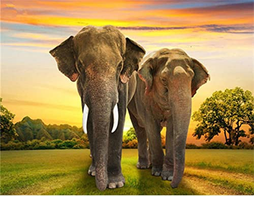 WYDMA Kreative Puzzles 3000 Stück Elefant Geschicklichkeitsspiel FüR Die Ganze Familie, Farbenfrohes Legespiel, Erwachsenenpuzzle Ab 9 Jahren Fertige Größe 122×81cm