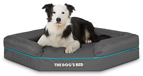The Dog's Balls Cama para Perros - Ortopédico, Espuma viscoelástica de Primera Calidad, Impermeable, Alivio del Dolor de la Artritis, displasias de Cadera y Codo, Soporte, Cubierta Lavable