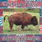 Kackende Tiere Adventskalender: Amüsantes Tierfoto - Tiere Furzen und Kacken - Lustige Motiven - lustiges Malbuch - Lustige Geschenkideen für Knebel, Witz, Geburtstag oder Weihnachten
