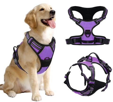 DKDDSSS Arnes Perro Arnés para Perro, Arnés Pecho Antitirones Arnes Perro Antitirones, Arnes Perro Mediano Arnes para Perros, Chaleco Acolchado Ajustable, Transpirable con Cinta Reflectante, Púrpura M