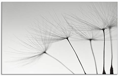 ARTland Spritzschutz Küchenrückwand aus Alu für Küche Herd Spüle 80x50 cm (BxH) mit Motiv Blume Pusteblume Landschaft Natur Zen Modern Hell Grau T5SQ