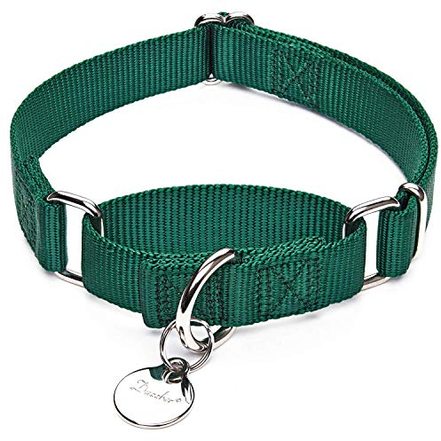 Dazzber Martingal Halsbänder für Hunde, Verstellbar Langlebig Kein Escape Stop Ziehen Hundehalsband Nylon für Große/Mittlere/Kleine Hunde (M(36cm-53cm), Dunkelgrün)