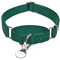 Dazzber Martingal Halsbänder für Hunde, Verstellbar Langlebig Kein Escape Stop Ziehen Hundehalsband Nylon für Große/Mittlere/Kleine Hunde (M(36cm-53cm), Dunkelgrün)