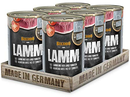 BELCANDO Super Premium Dose [6x400g Lamm mit Reis & Tomate] | Nassfutter für Hunde | Feuchtfutter Dose | Alleinfutter für Hunde Aller Rassen