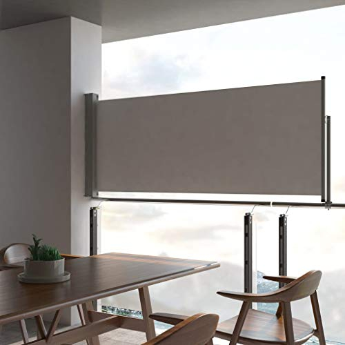 INLIFE Toldo lateral extensible, 100 x 300 cm, color gris-5186