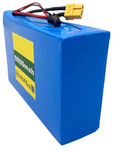 Blivysse Batterie Lithium 36 V 9,8 Ah 10S2P pour vélo électrique avec Carte BMS, pour Moteurs de 500 W Maximum, Scooter électrique, Outils électriques, Chargeur XT60 Inclus.
