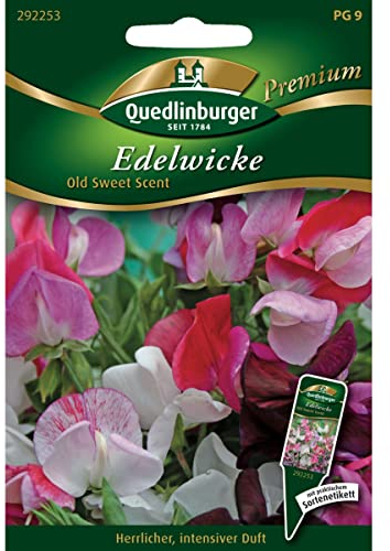 Edelwicken, Old Sweet Scent