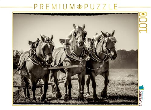 CALVENDO Puzzle Pflügen mit DREI Pferden 1000 Teile Puzzle quer | Lege-Größe cm Foto-Puzzle für glückliche Stunden
