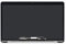 FTDLCD® Schermo LCD da 16 pollici per Apple MacBook Pro Retina A22141 2019 EMC 3347 (argento)