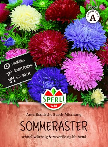 Sperli Asternsamen Amerikanische Busch-Mischung 85069, Blumensaat | Blumensamen für Beete & Einfassungen, schnellwüchsige, für Garten & Balkon, einjährig