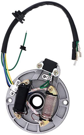 Windance Plaque de Stator Magnétique d'Allumage à 2 Bobines pour Moto Tout-Terrain Chinoise Taotao Kazuma SSR Baja ATV Quad 4 Roues 50 70 90 110 125 cc