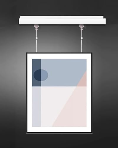 Bilderschienen Galerieschienen Wandmontage-Bilderschiene mit Rollen, Aufhänger für Galerie-Kunstwerke, Aluminium-Gleitschiene für Gemälde und Ausstellungsrahmen(2.5m/8.2' Cable,120cm/47.2 Track)