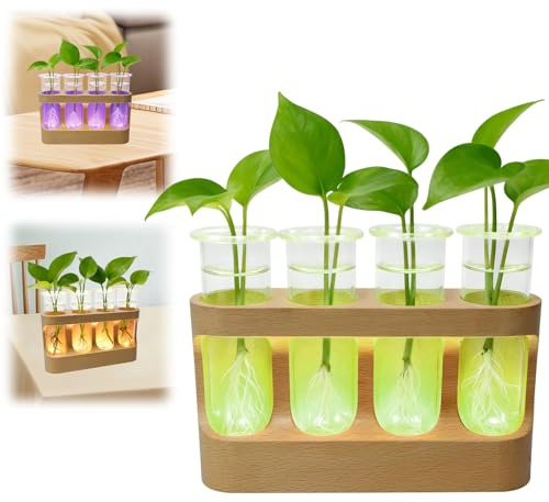 Blumenvasen im Reagenzglas mit LED Holzständer, 4 Reagenzgläser Kleine Vasen mit Halterung für Tischdeko, Ableger Pflanzen Propagation Station, Modern Vasen Deko Set für Wohnzimmer (7-Farbwechsel)