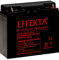 Effekta AGM Akku Batterie Typ BT 12-18 12V 18Ah Flachpol M5