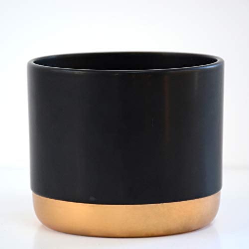 Thompson & Morgan Two-Tone Black & Gold Small Ceramic Plant Flower Pot Round Modern Stylish Simple Design for Indoor House Plants Succulents 1 x Small Black & Gold Ceramic Pot