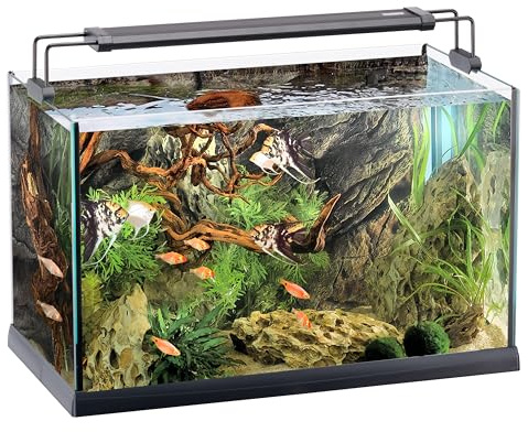 Ferplast Acquario 60 Litri in Vetro, Illuminazione LED 24W, Filtro Esterno, Acquario per Pesci Tropicali con Riscaldatore 100W, Vasca Aperta per Piante e Aquascaping 59,5 x 31,5 x 42 cm