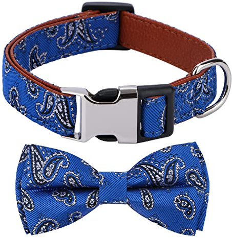 Rhea Rose Hundehalsband mit Fliege, Paisleymuster, Größe S, Blau