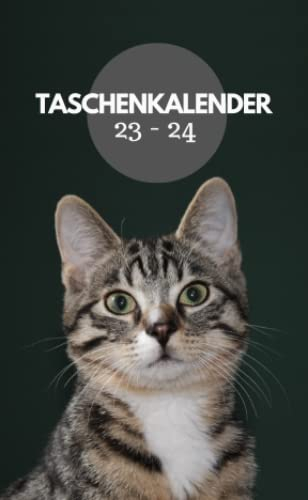Taschenkalender 23 24: Grauer neugieriger Katzen-Planer für 23 und 24, 107 Seiten, 10,16 x 16,51 cm, mit Kontakt- und Passwort-Seiten, Notiz-Seiten, ... coolen Geschenk für Freunde und Familie.