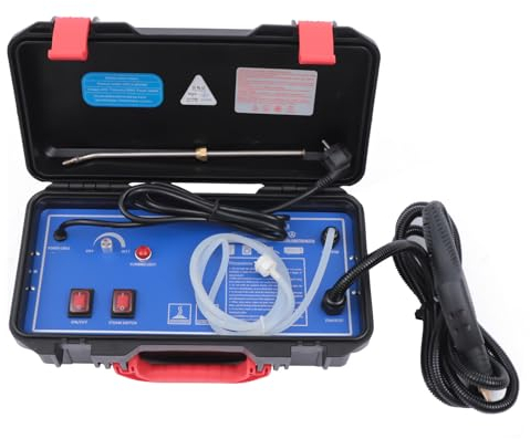 3000W 220V pulitori a vapore elettrici ad alta pressione ad alta temperatura pulitore a vapore domestico ad alta pressione vapore pulitore a vapore pulitore manuale portatile pulitore a vapore